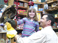 Mike Dupuy Falconry